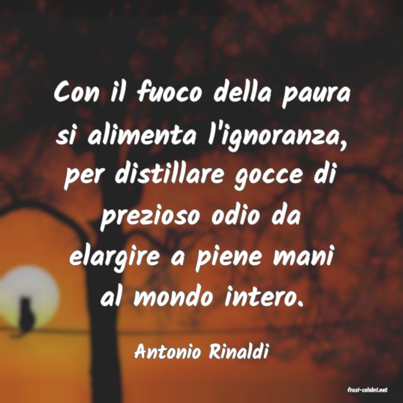 frasi di  Antonio Rinaldi
