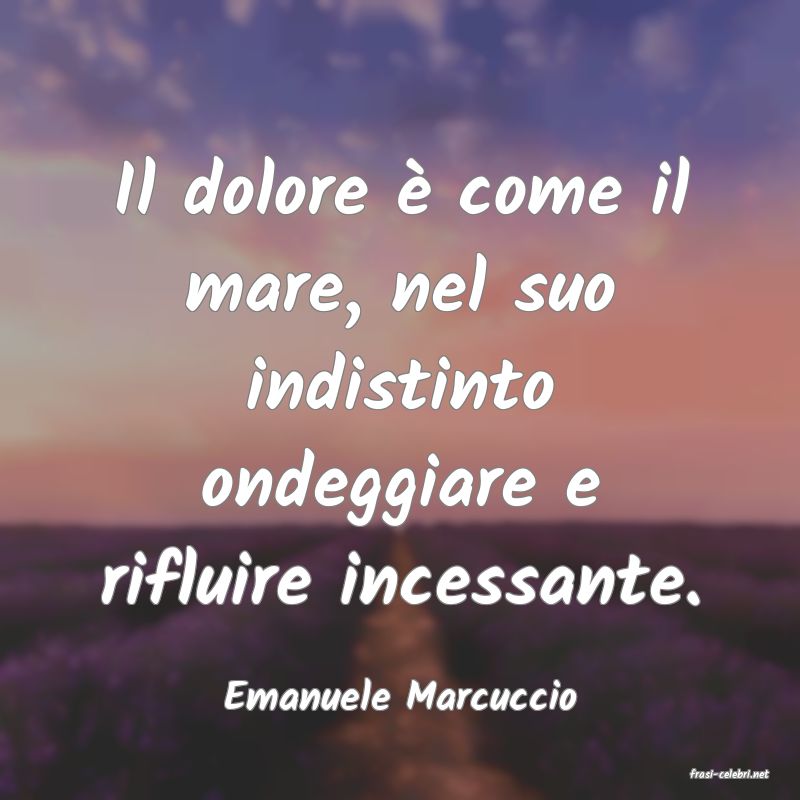 frasi di  Emanuele Marcuccio
