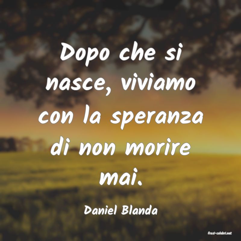 frasi di  Daniel Blanda
