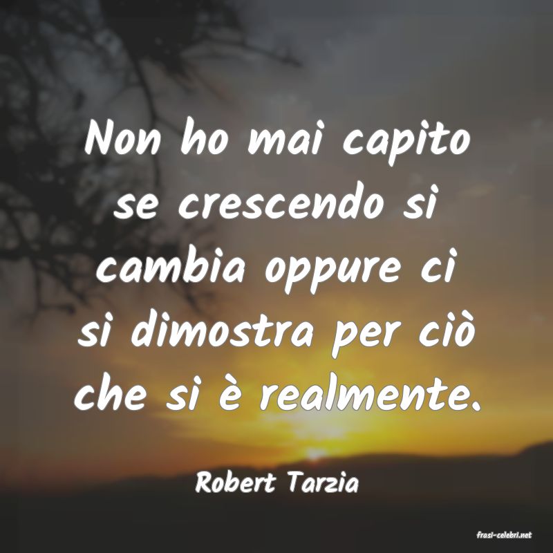 frasi di  Robert Tarzia
