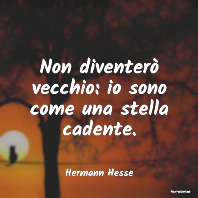 frasi di  Hermann Hesse
