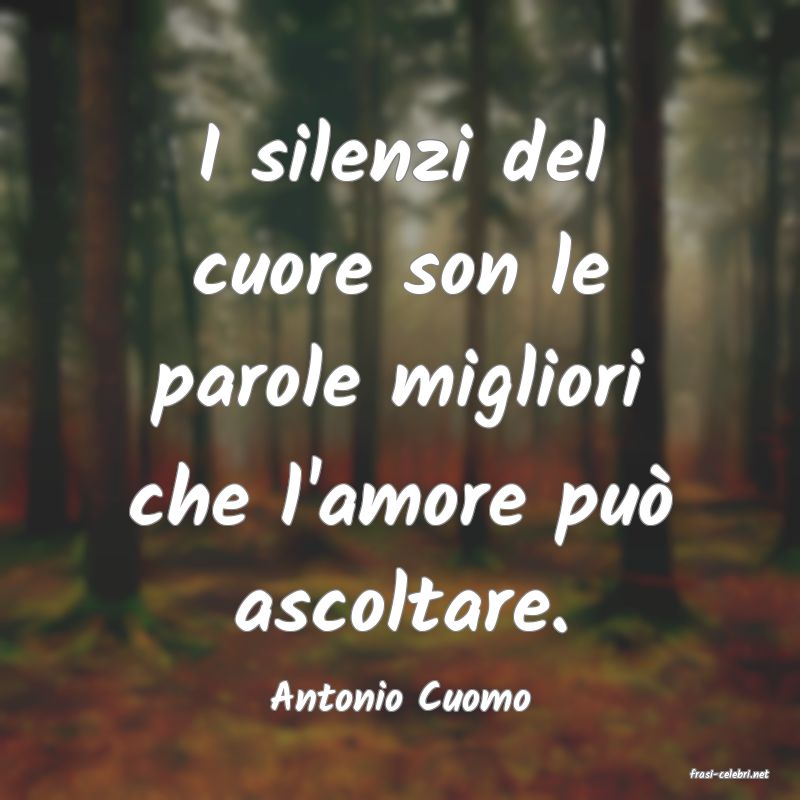 frasi di  Antonio Cuomo
