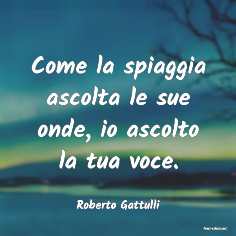 frasi di  Roberto Gattulli
