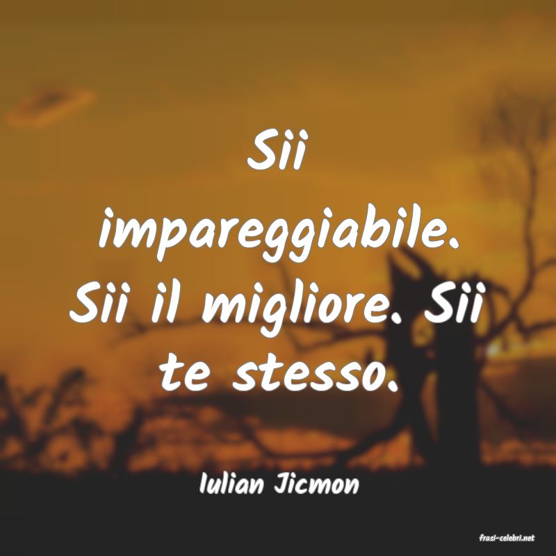 frasi di  Iulian Jicmon
