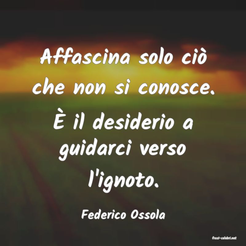 frasi di  Federico Ossola
