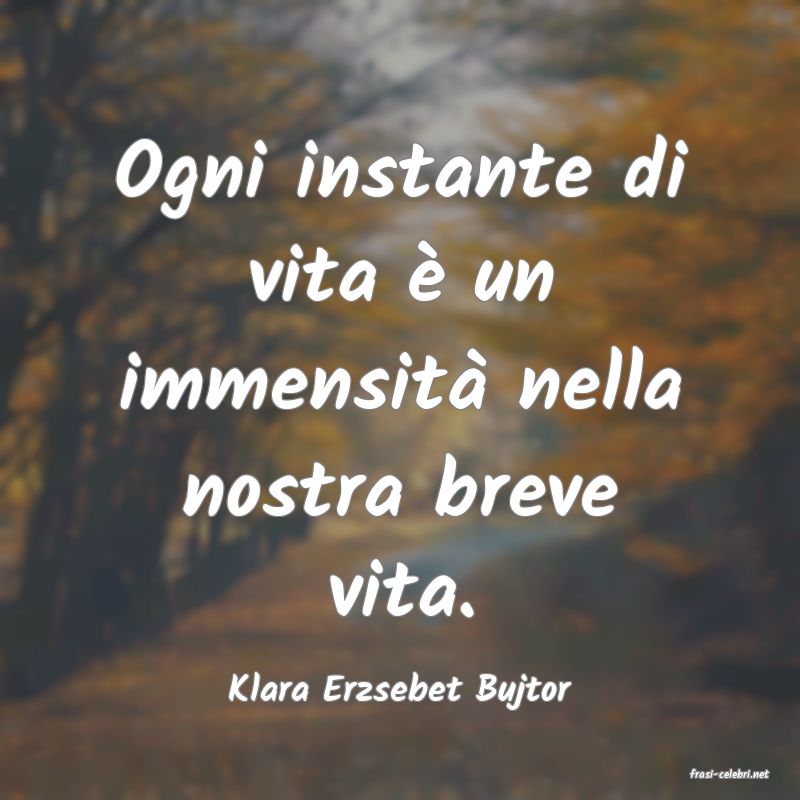 frasi di  Klara Erzsebet Bujtor
