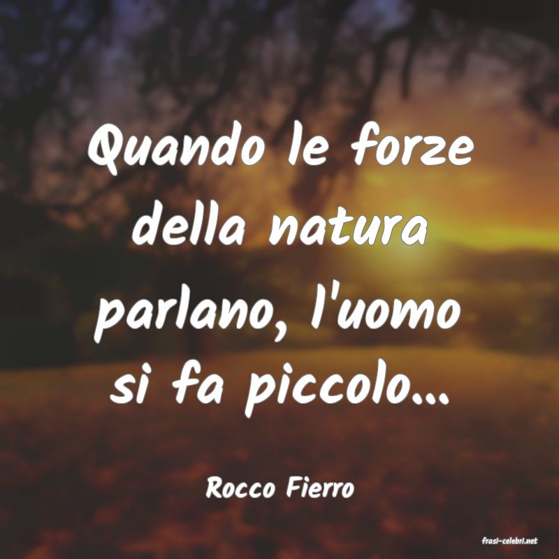 frasi di  Rocco Fierro
