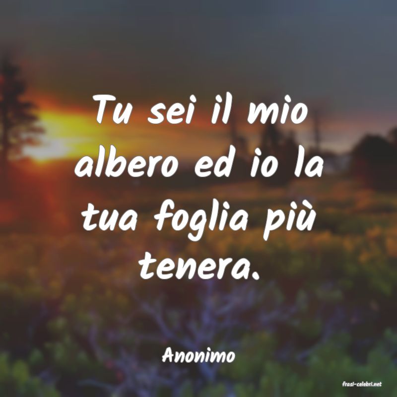 frasi di Anonimo