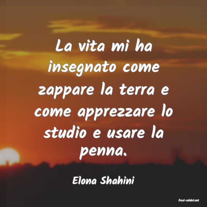 frasi di  Elona Shahini
