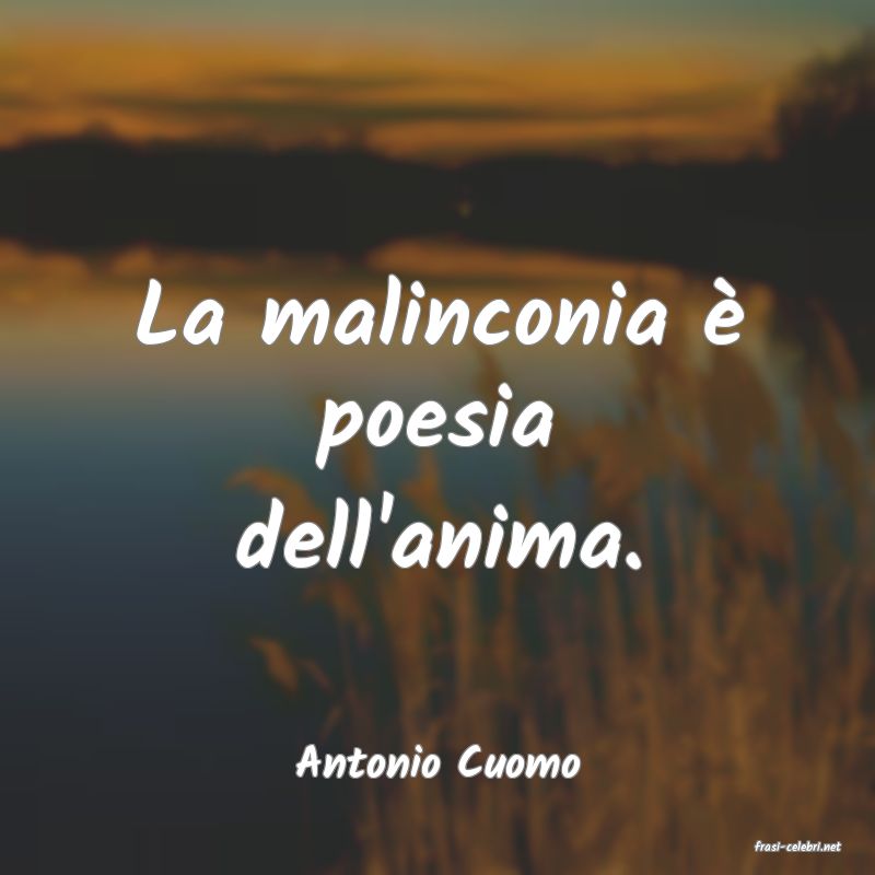 frasi di  Antonio Cuomo

