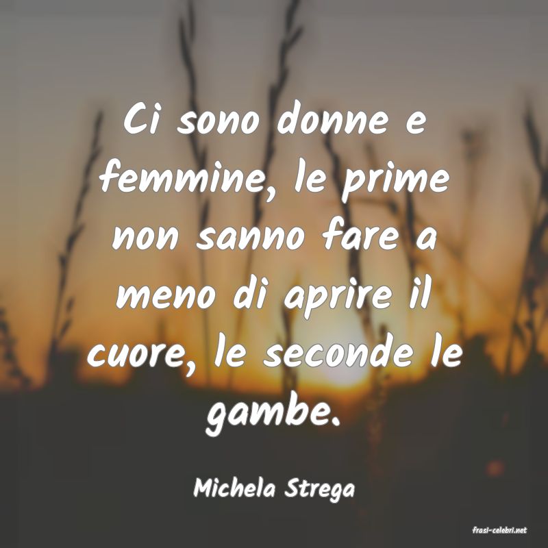 frasi di Michela Strega
