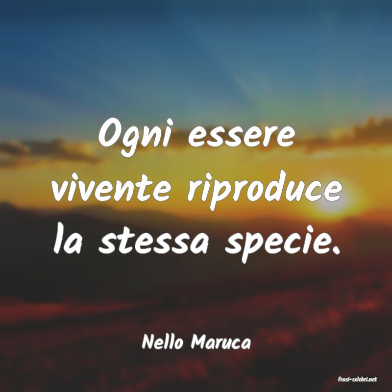 frasi di  Nello Maruca
