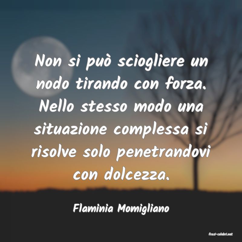 frasi di  Flaminia Momigliano
