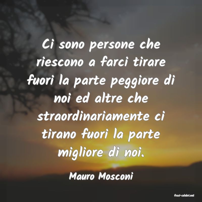 frasi di  Mauro Mosconi
