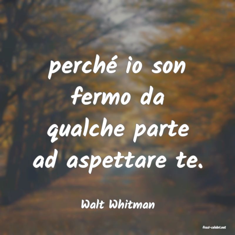frasi di  Walt Whitman
