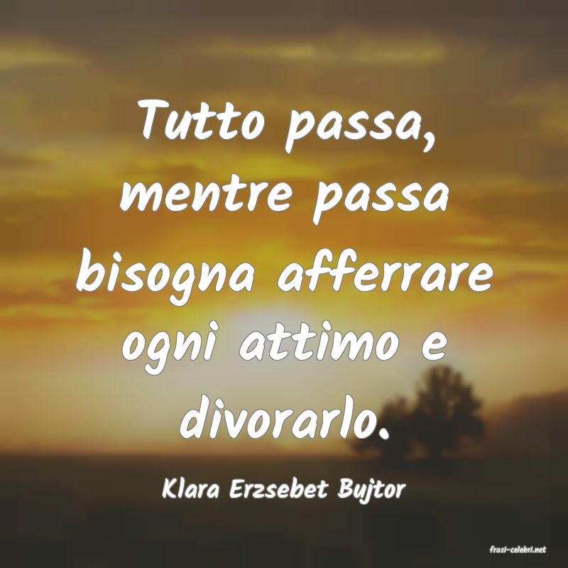 frasi di  Klara Erzsebet Bujtor
