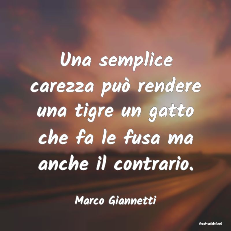 frasi di  Marco Giannetti
