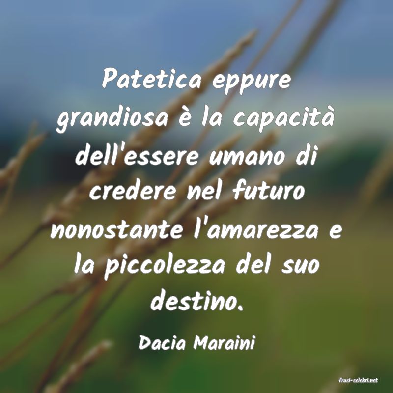 frasi di  Dacia Maraini

