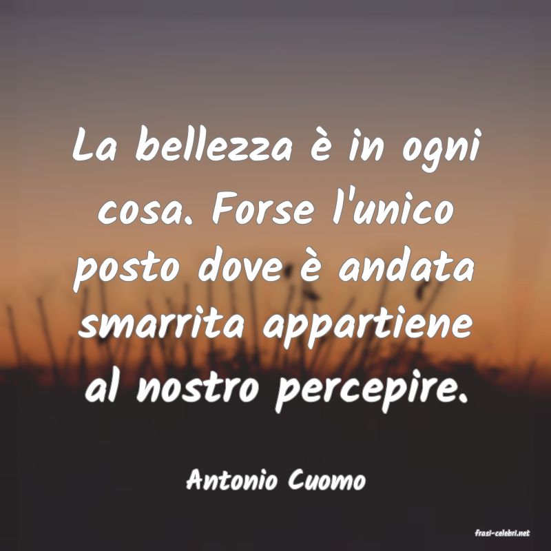 frasi di  Antonio Cuomo
