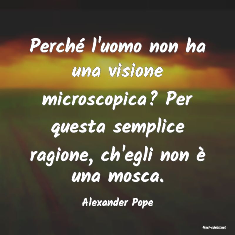 frasi di  Alexander Pope
