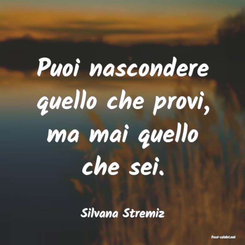 frasi di  Silvana Stremiz
