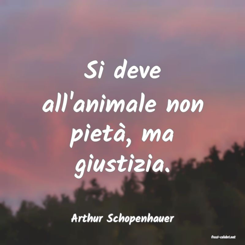 frasi di Arthur Schopenhauer