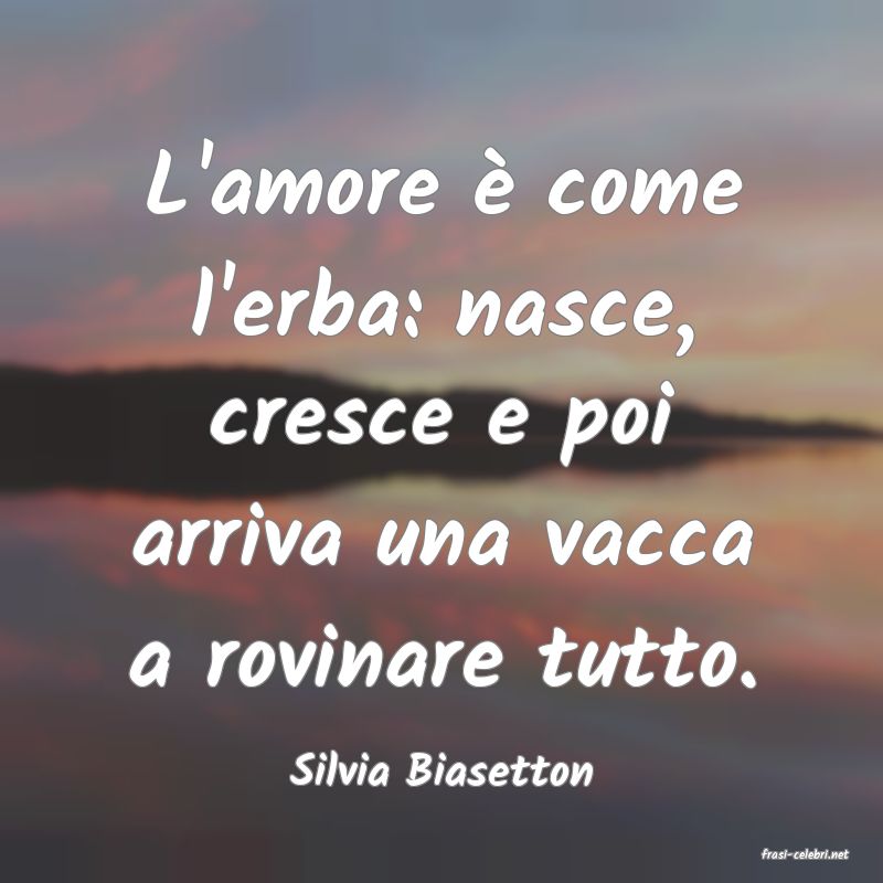 frasi di  Silvia Biasetton
