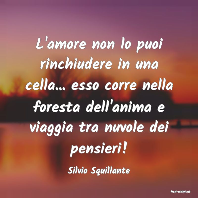 frasi di  Silvio Squillante
