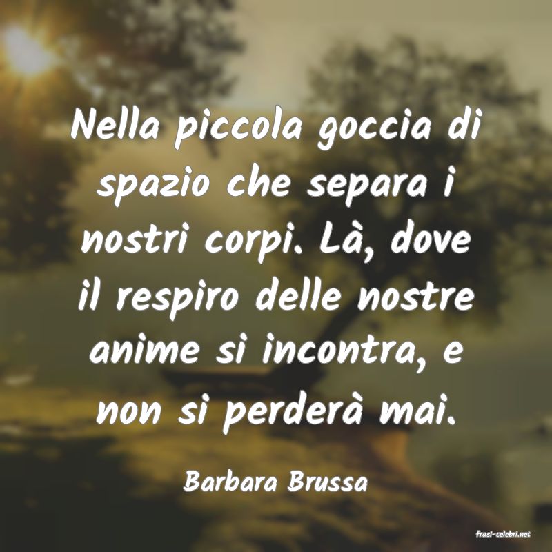 frasi di  Barbara Brussa
