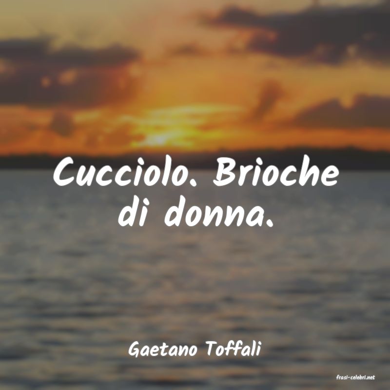 frasi di Gaetano Toffali