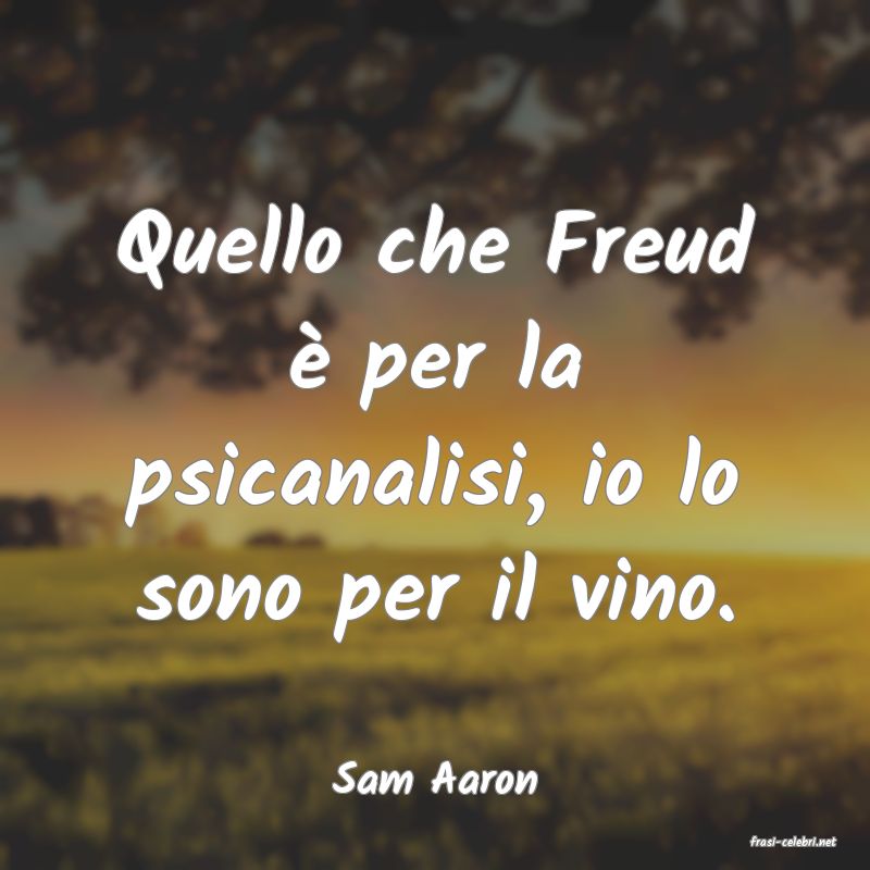 frasi di Sam Aaron