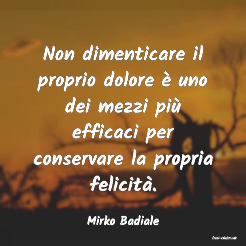 frasi di Mirko Badiale