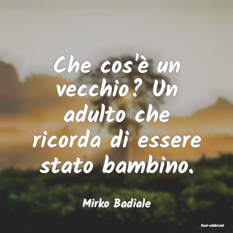 frasi di  Mirko Badiale
