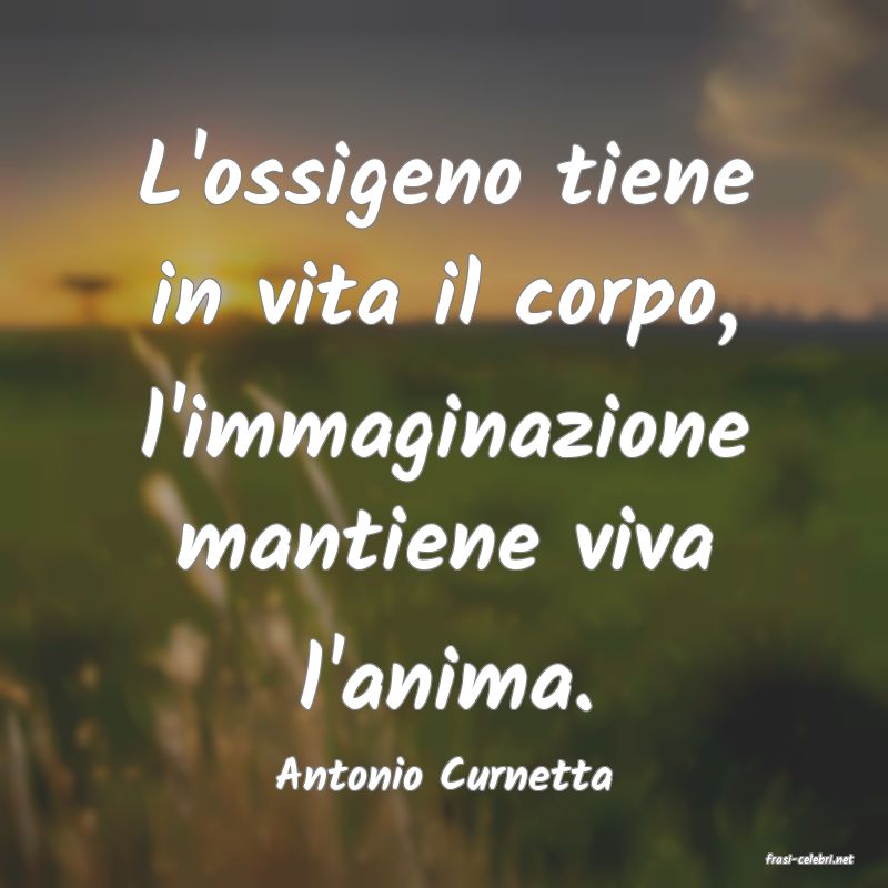 frasi di  Antonio Curnetta
