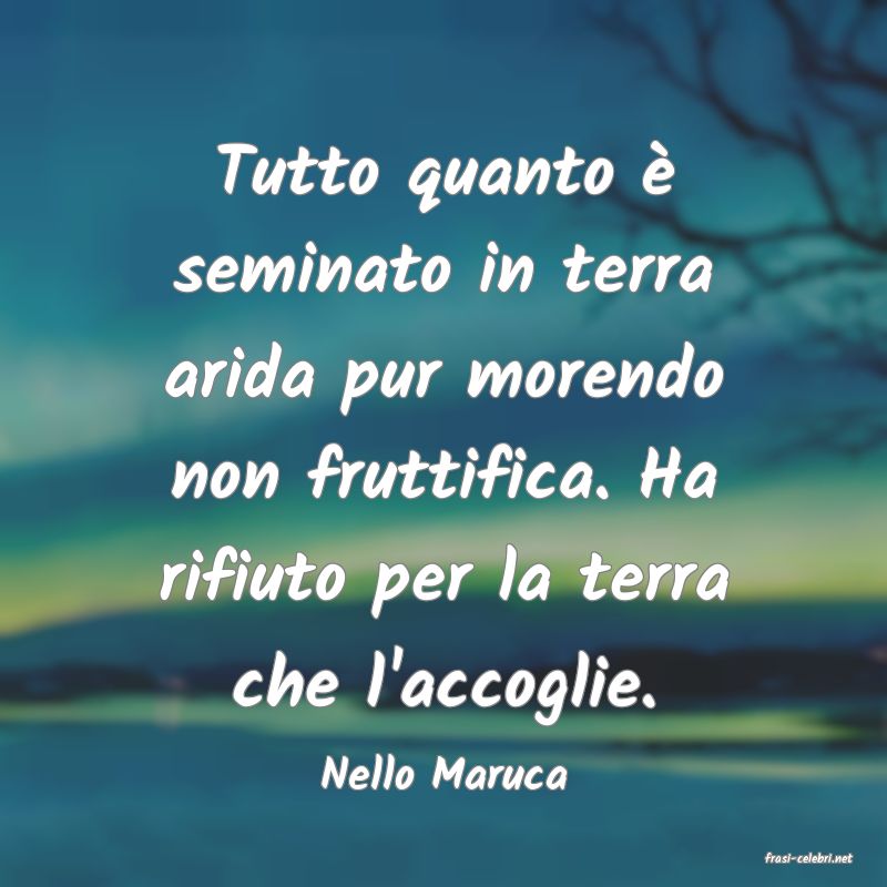 frasi di  Nello Maruca
