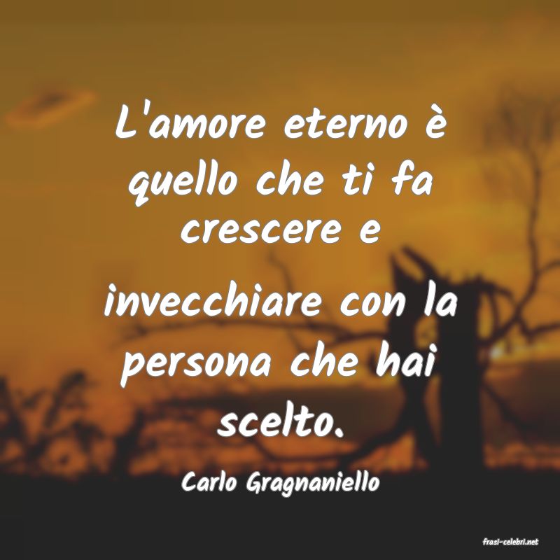frasi di  Carlo Gragnaniello
