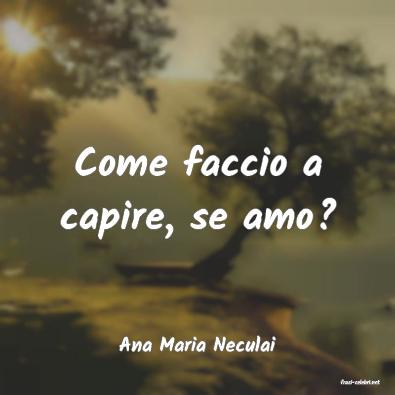 frasi di  Ana Maria Neculai
