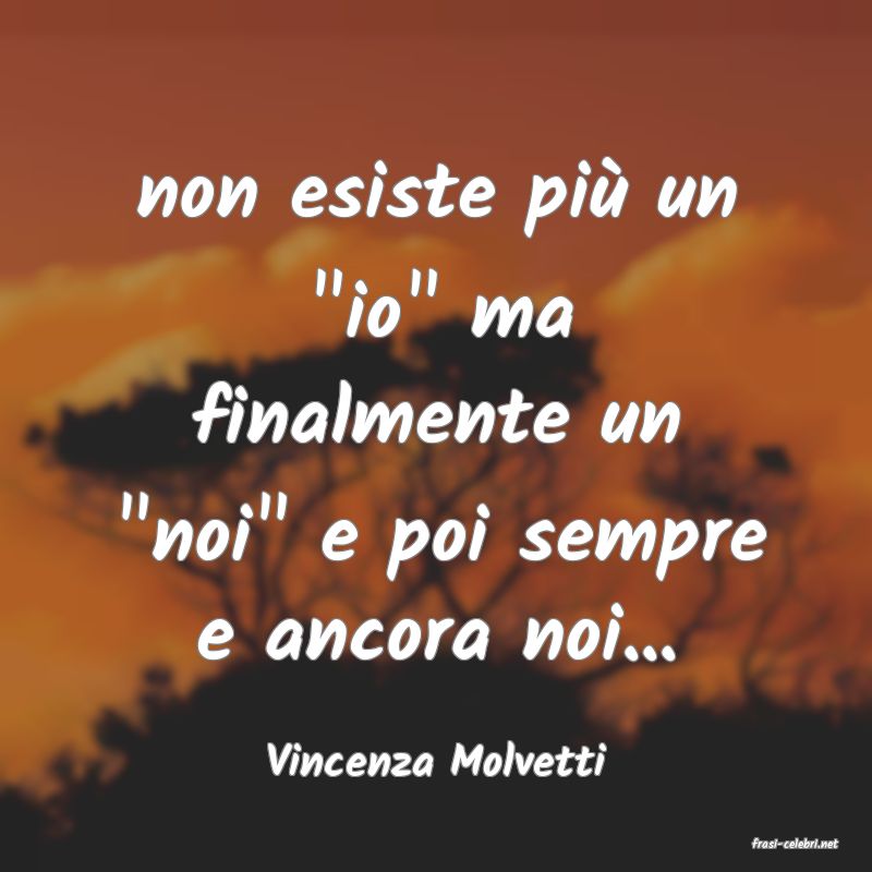 frasi di  Vincenza Molvetti
