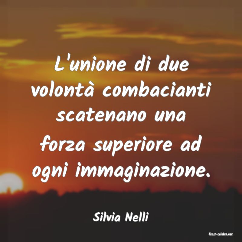 frasi di Silvia Nelli
