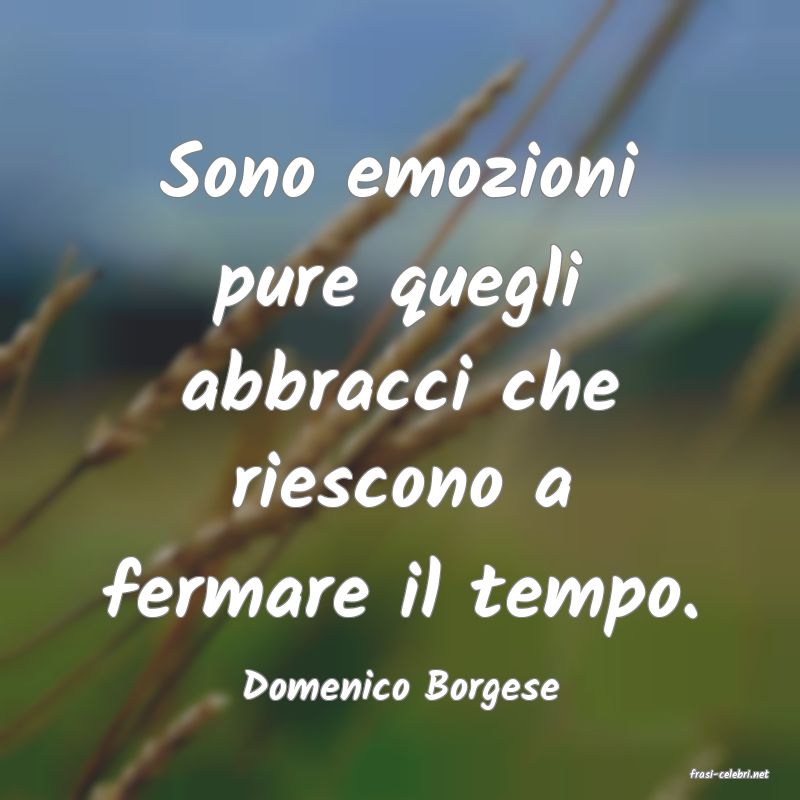 frasi di  Domenico Borgese
