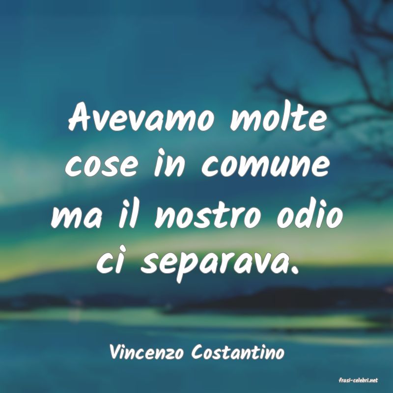 frasi di Vincenzo Costantino
