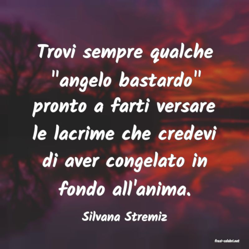 frasi di  Silvana Stremiz
