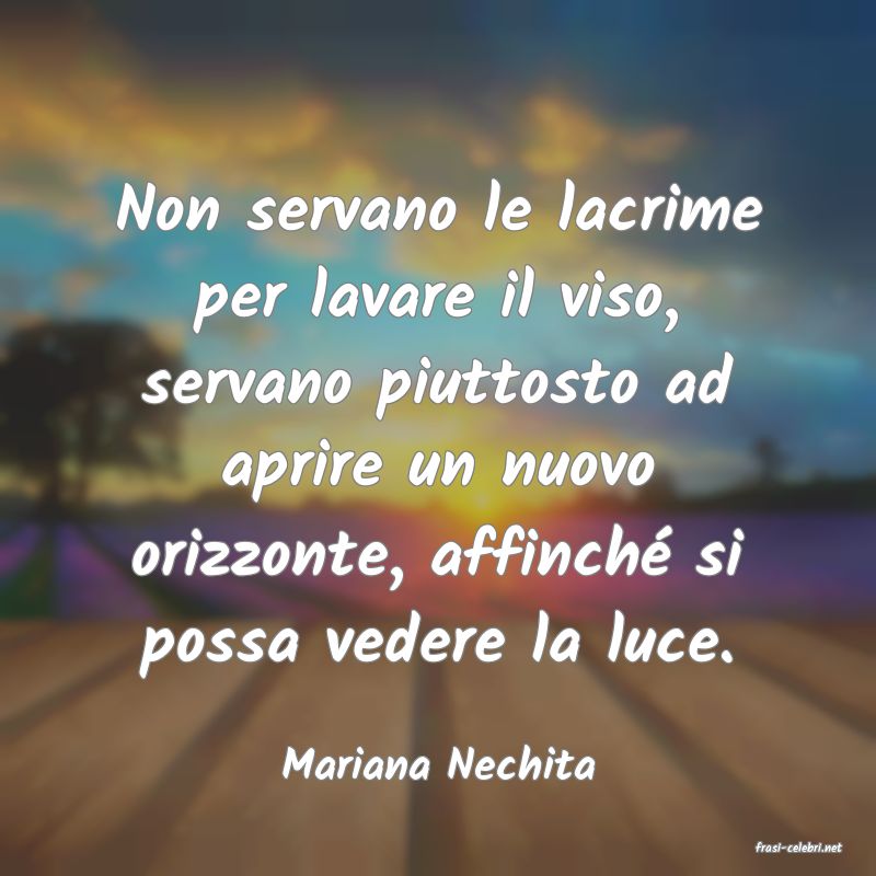 frasi di  Mariana Nechita
