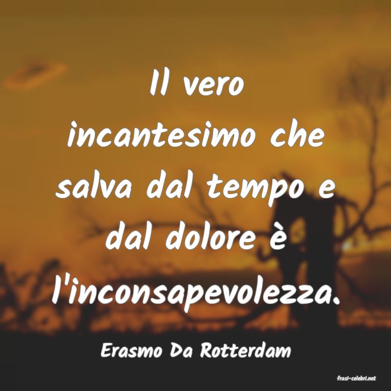 frasi di Erasmo Da Rotterdam