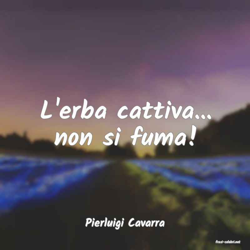 frasi di Pierluigi Cavarra