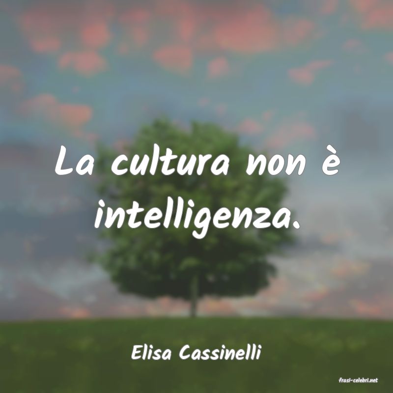 frasi di Elisa Cassinelli
