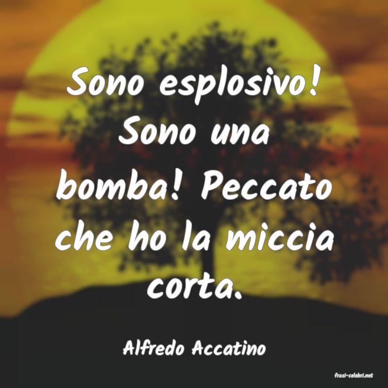 frasi di Alfredo Accatino