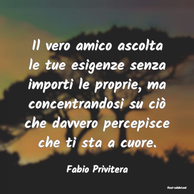 frasi di  Fabio Privitera
