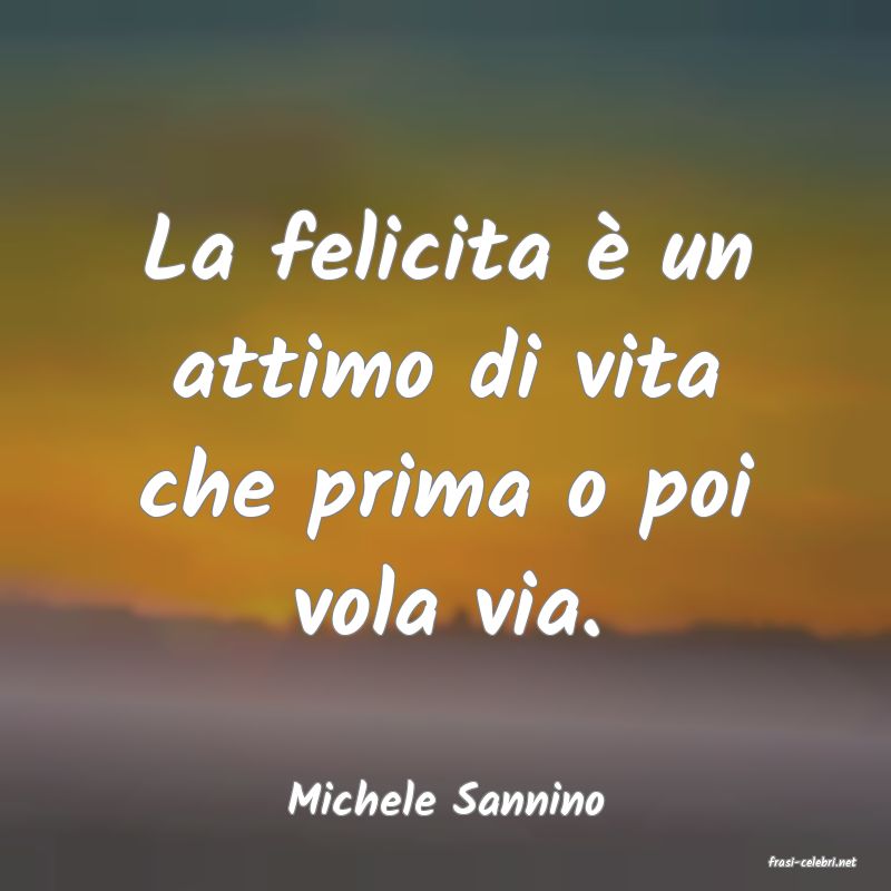 frasi di Michele Sannino