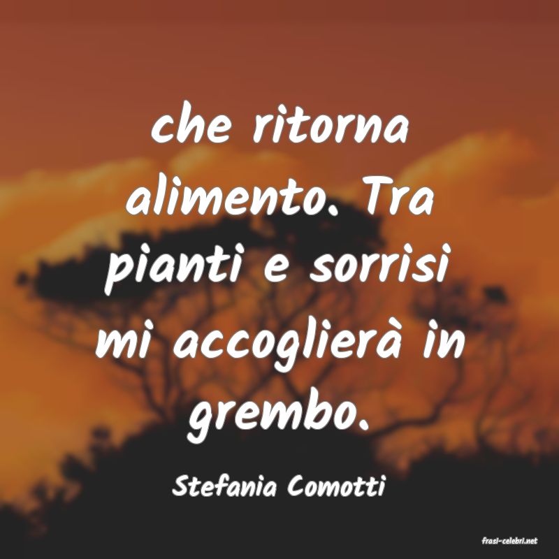 frasi di  Stefania Comotti
